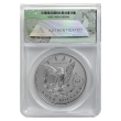 2022 Colorized Reverse Proof Morgan x20 - RP70