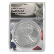 2021 – 2025 Type 2 Silver Eagle Continuity