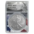 2021 – 2025 Type 2 Silver Eagle Continuity