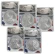 2021 – 2025 Type 2 Silver Eagle Continuity