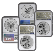 2021 T1 & T2 Silver Eagle Reverse Proof Designer Set