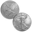 2024-W Burnished Silver Eagle Unc