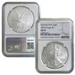 2024-W Burnished Silver Eagle NGC MS70 Brown Label