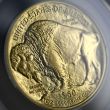 2025 $50 Gold American Buffalo – MS70
