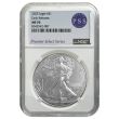 2025 Silver Eagle - NGC MS70 ER PSS