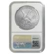 2025 Silver Eagle - NGC MS70 ER PSS
