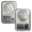 1986-2025 NGC Numbered Silver Eagle Date Run Set