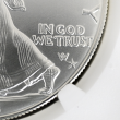 2024 (P) Star Privy Silver American Eagle – NGC MS69