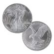 2025 Eagle Privy Silver American Eagle - Brilliant Uncirculated