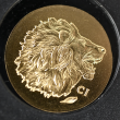 2025 .5G Gold Lion Silk Finish