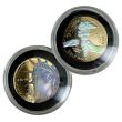 USA 250th Anniversary Platinum, Gold & Colorized 6 Coin Set
