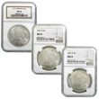 1921-PDS Morgan Dollar NGC MS63 Set