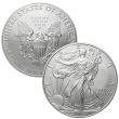 2011 25th Anniversary Silver Eagle Set