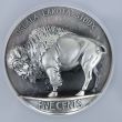 2026 Coming to Life 5oz Silver Buffalo Nickel - MS70  