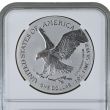 1776-2026 Enhanced Uncirculated Silver American Eagle - America 250