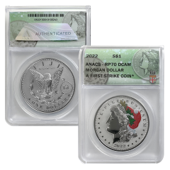 2022 Colorized Reverse Proof Morgan - RP70