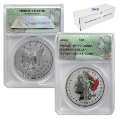 2022 Colorized Reverse Proof Morgan x20 - RP70