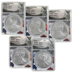 2021 – 2025 Type 2 Silver Eagle Continuity