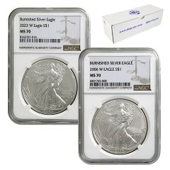 2006W - 2023W Burnished Silver Eagle Date Run Set - NGC MS70 Brown Label