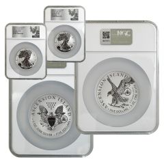 2024 5oz Silver Reverse Proof Type 1 & 2 Silver Eagle Set