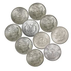10 Different Date &/or Mint Mark Morgans 