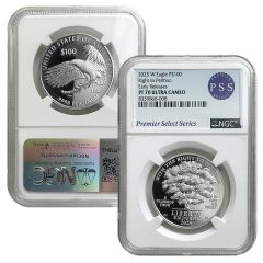 2025-W 1oz Platinum American Eagle - PF70