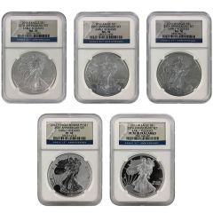 2011 25th Annv. Silver Eagle 5-Coin Set – NGC 70
