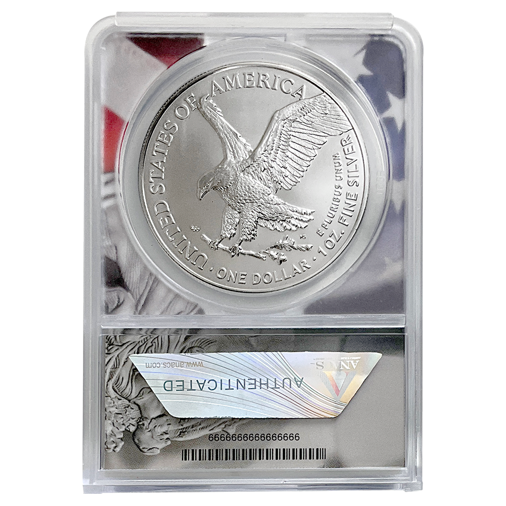 2024 Silver Eagles x20 – MS70 1st Strike | US Coins | Csnmint.com