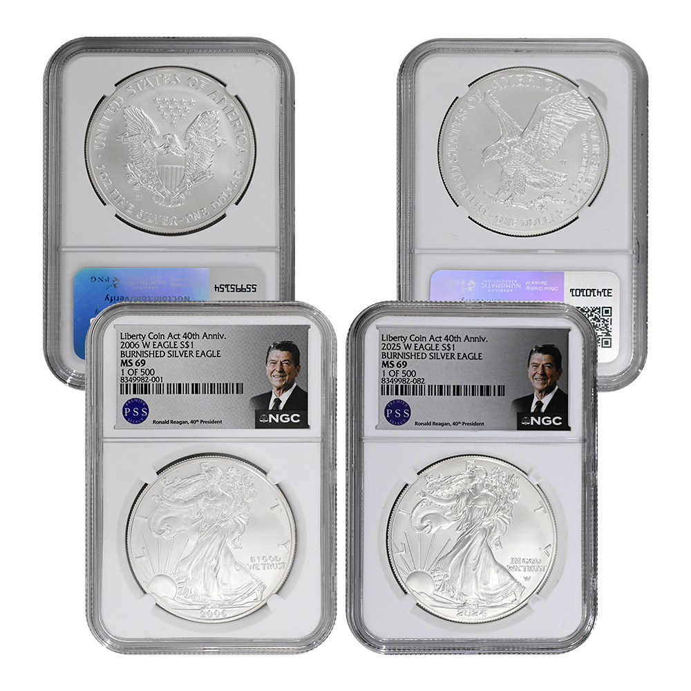 2006-2025 Burnished Silver Eagle Date Run Set | US Coins | Csnmint.com