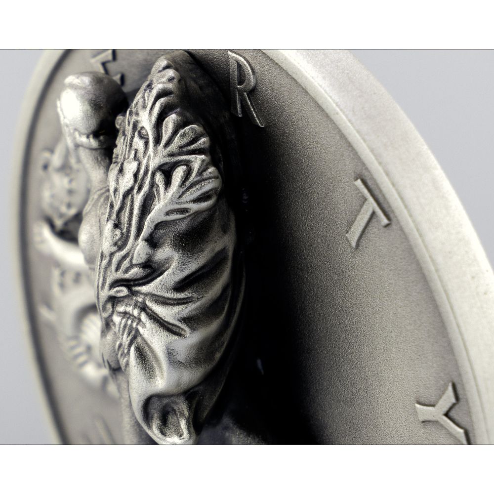Coming to Life - 2025 5oz Type 2 Silver Eagle MS70 | US Coins