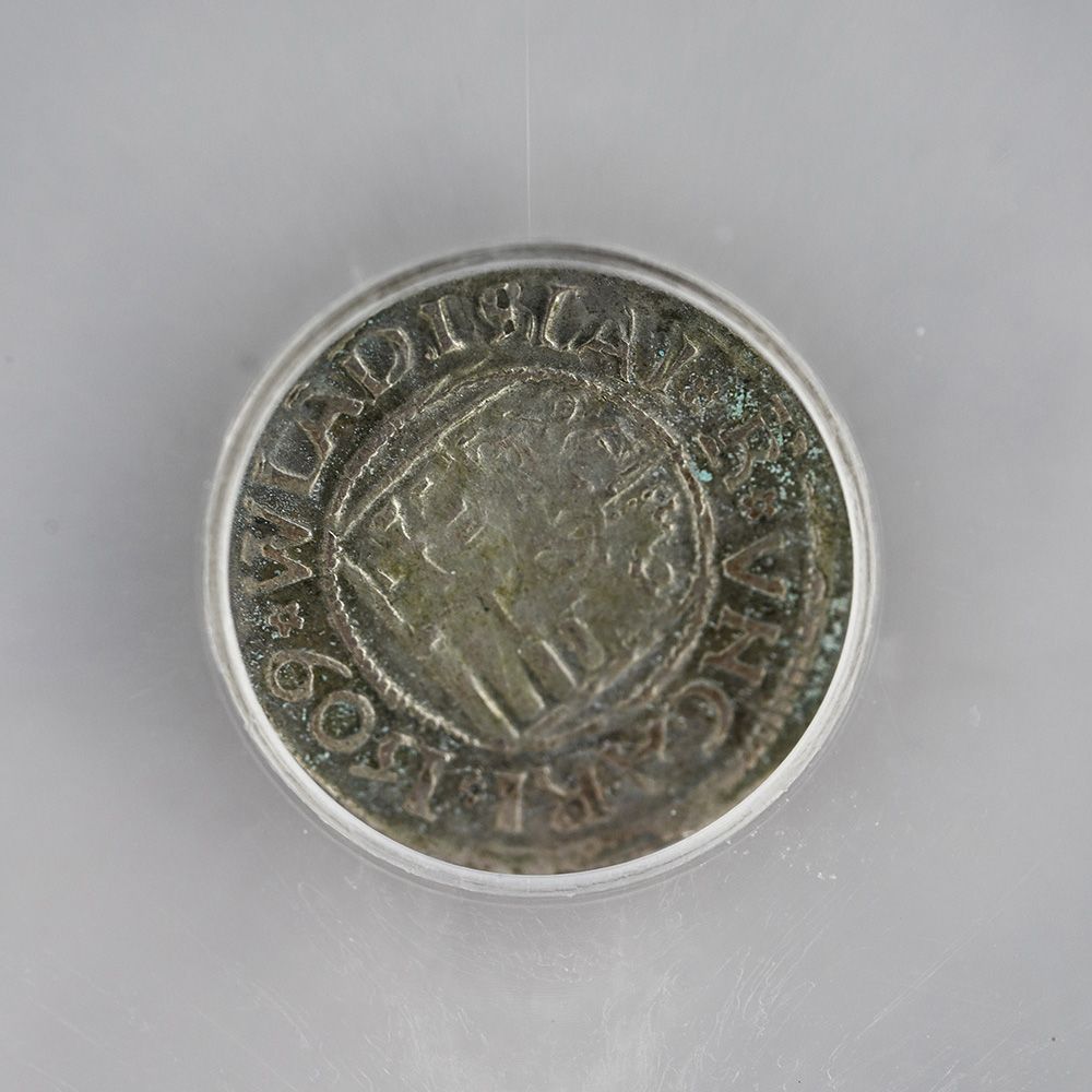 Dracula's Hoard Silver Hungarian Denar x3 | US Coins | Csnmint.com