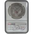 2014-W BURNISHED SILVER EAGLE NGC MS70 FROM ANNUAL DOLLAR SET