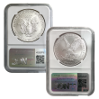 1986 - 2024 Silver Eagle Date Run Set - Two Pay