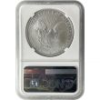 2007 Burnished Silver Eagle from Annual Dollar Set
