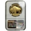 2006-W Proof Gold Buffalo – Dual Pay