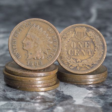 Indian Head Cent 10 Coin Starter Set	