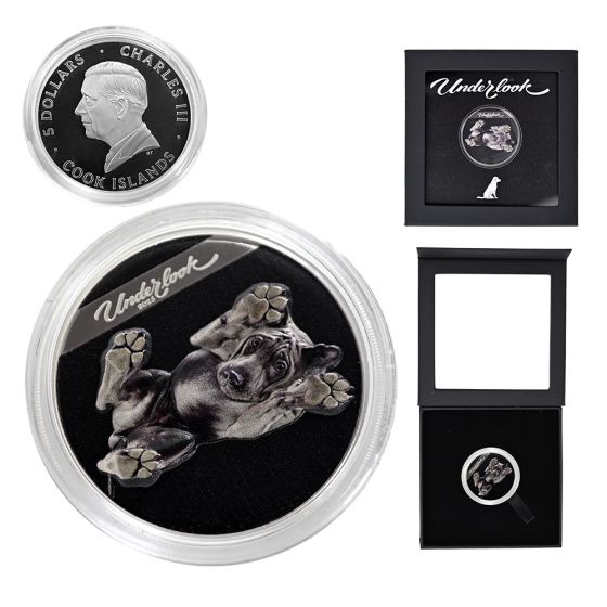 2025 1oz Silver Underlook - Under Dog | US Coins | Csnmint.com