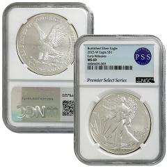 2023-W Burnished Silver Eagle - NGC MS69