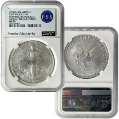 2007 Burnished Silver Eagle from Annual Dollar Set