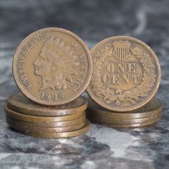 Indian Head Cent 10 Coin Starter Set	