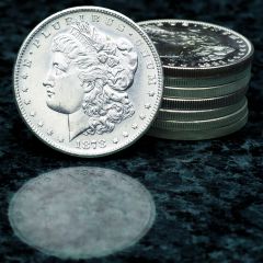 Morgan Dollars 10 Coin set (Circulated) 