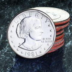 Susan B. Anthony Dollars 10 Coin set (Circulated) 