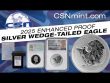 ULTRA HIGH-RELIEF SILVER WEDGE-TAILED EAGLE !!!