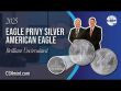 Only 500,000 Made! 2025 Eagle Privy Silver Eagle
