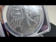 Constitution Silver Eagle Clip